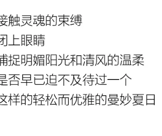 YF | 夏 你好，盛夏隨心型走